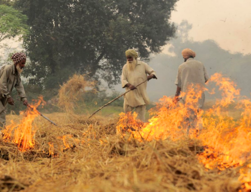 Stubble Burning Across Punjab